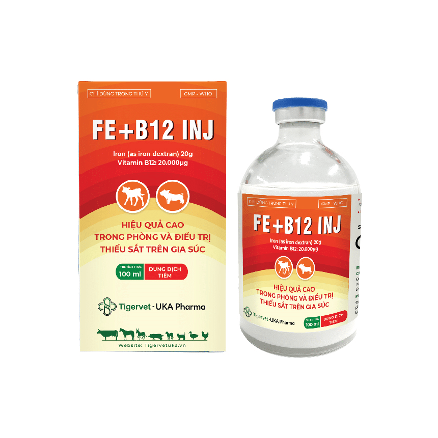 FE + B12 INJ