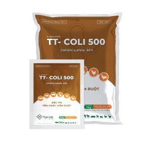 TT- COLI 500