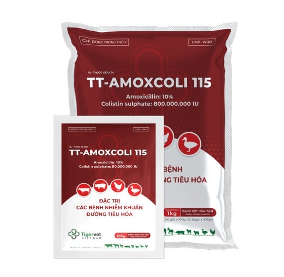 TT-AMOXCOLI 115