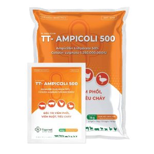 TT- AMPICOLI 500