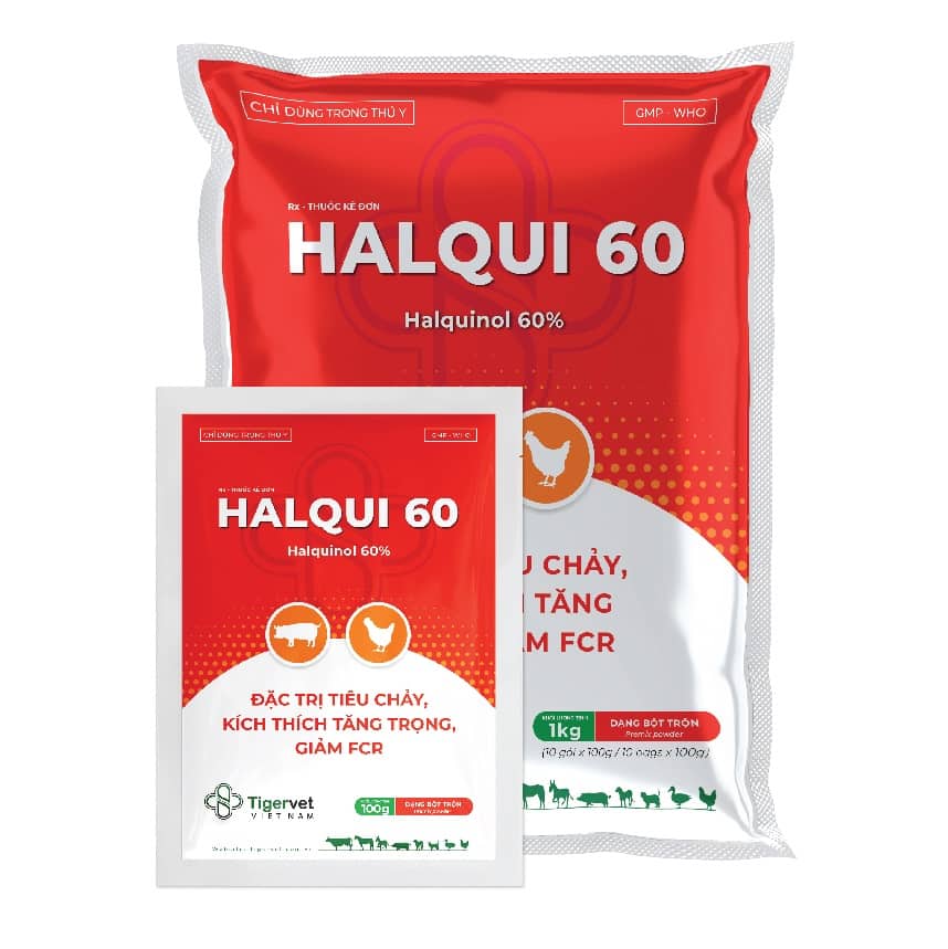 HALQUI 60