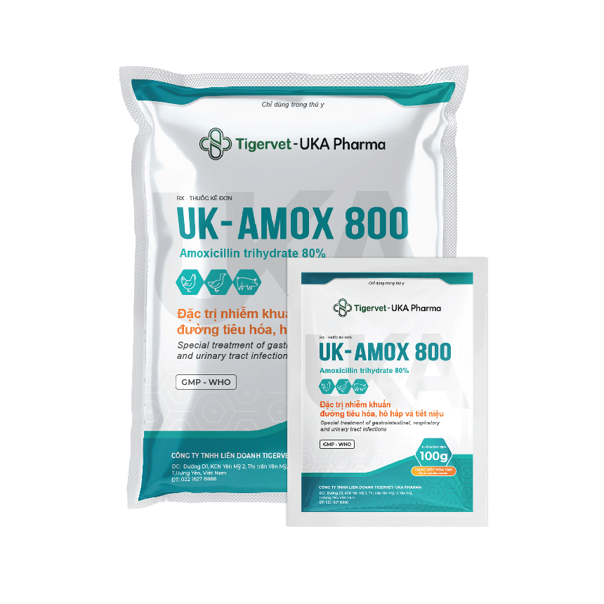 UK-AMOX 800