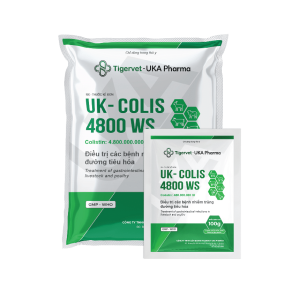 UK-COLIS 4800 WS