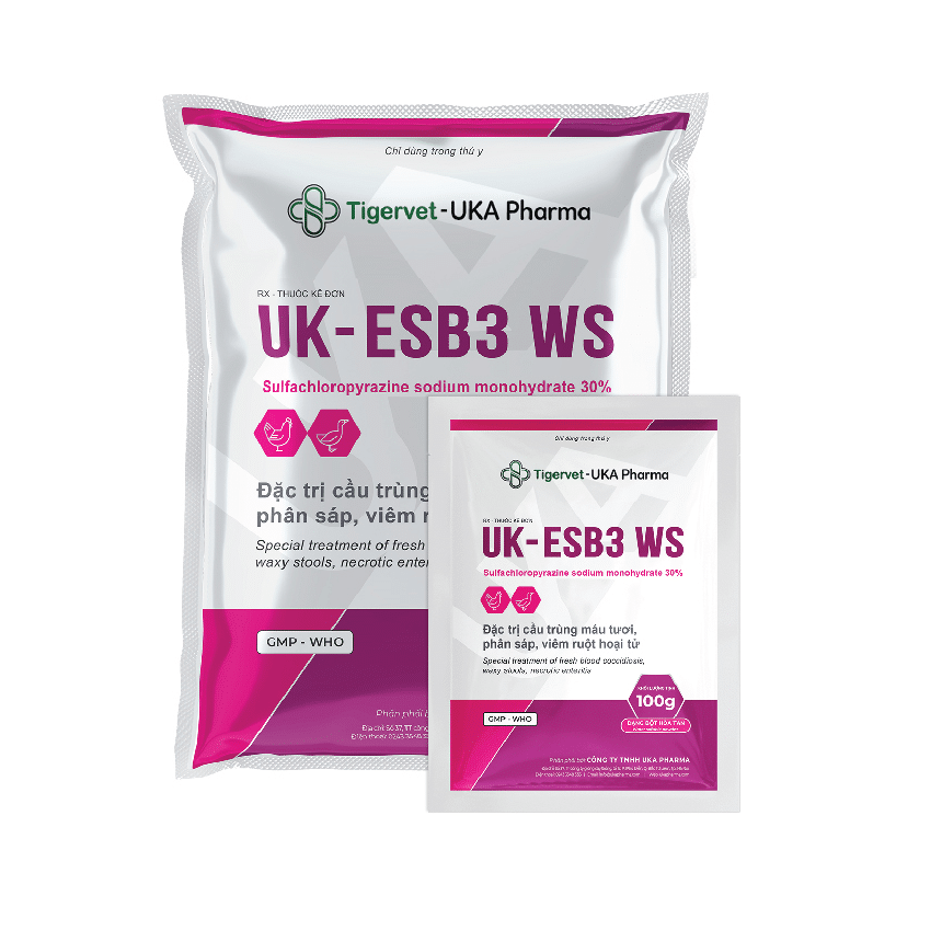 UK-ESB3 WS