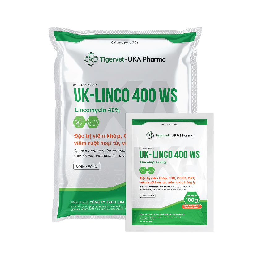 UK-LINCO 400 WS